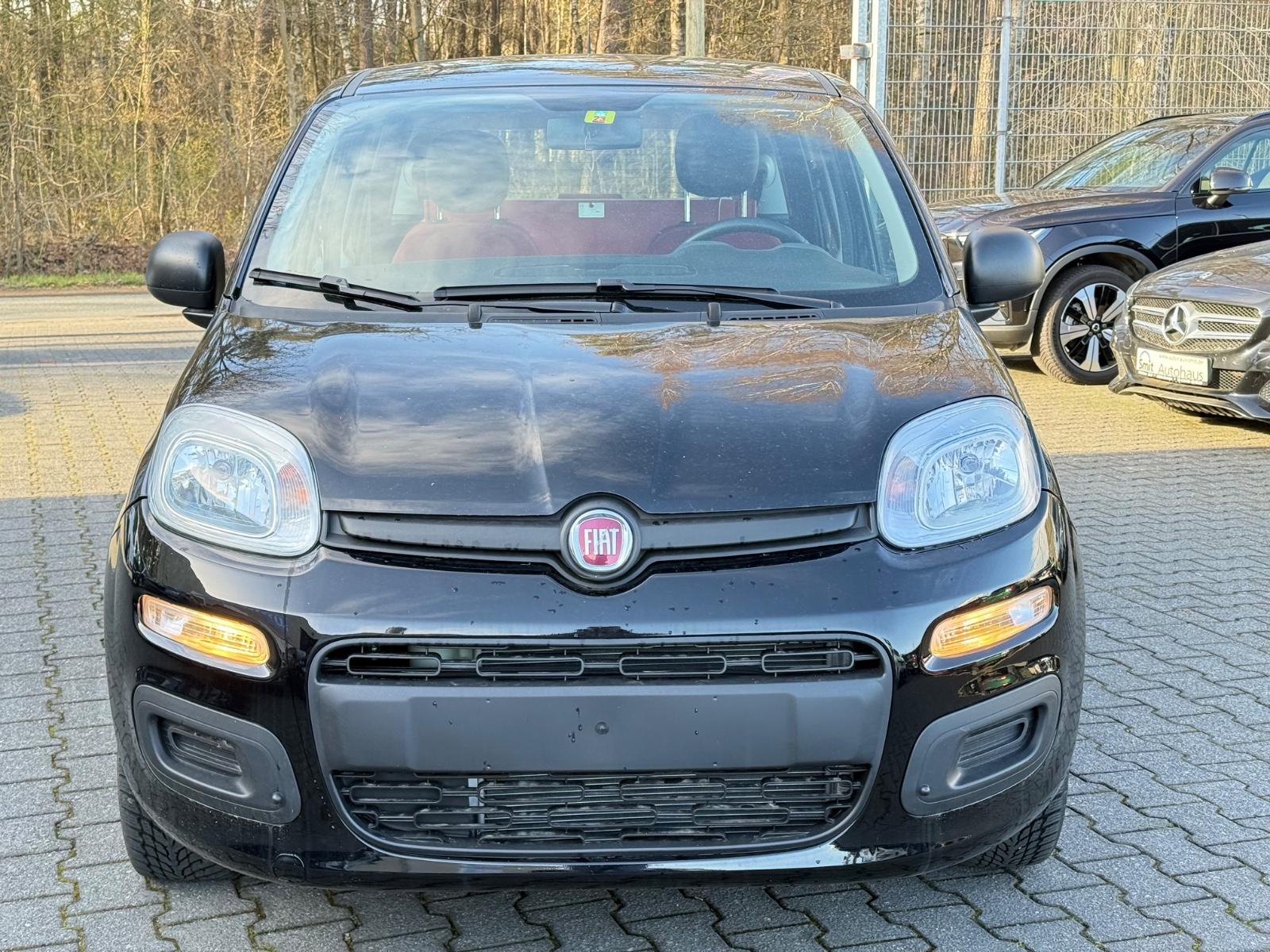 Fiat Panda Pop 1.2/ Klima / Pizzaofen