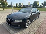 Audi A5 3.0 TDI S tronic quattro Sportback  B&O Navi
