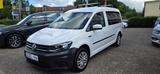 Volkswagen Caddy PKW Maxi 1Hd 7Sitzer Navi TÜV 2J.Garantie - : Pkw