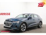 Audi e-tron 55 quattro advanced 95 kWh LED Virtual Cr - Audi e-tron Unfallwagen
