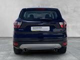 Ford Kuga TREND 1.5 ECOBOOST 4x2 KLIMA+SHZ+PDC+LHZ - Ford Kuga Trend mit Benzin-Antrieb