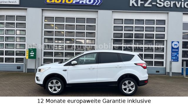 Ford Kuga Trend,Klima,AHK,2.Hand,Allwetterreifen