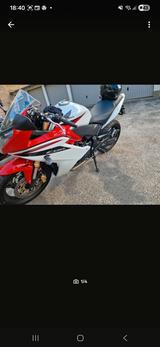 Honda Cbr 600f - HONDA 2011 CBR 600 F