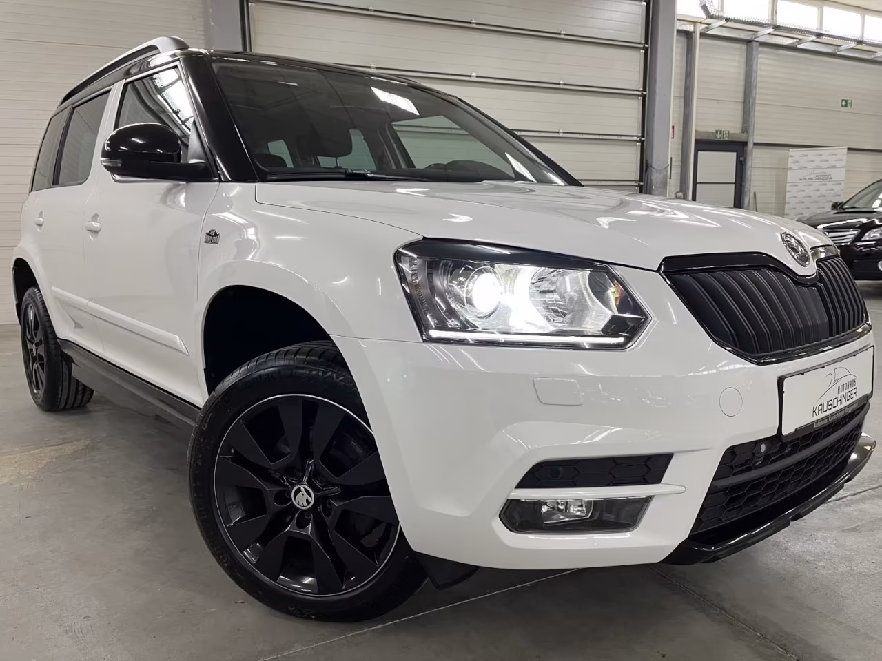 Skoda Yeti Monte Carlo 4x4 2.0 TDI DSG AHK PANO XENON 
