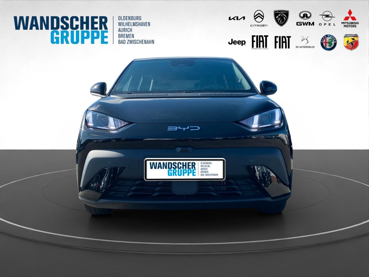 BYD DOLPHIN SURF