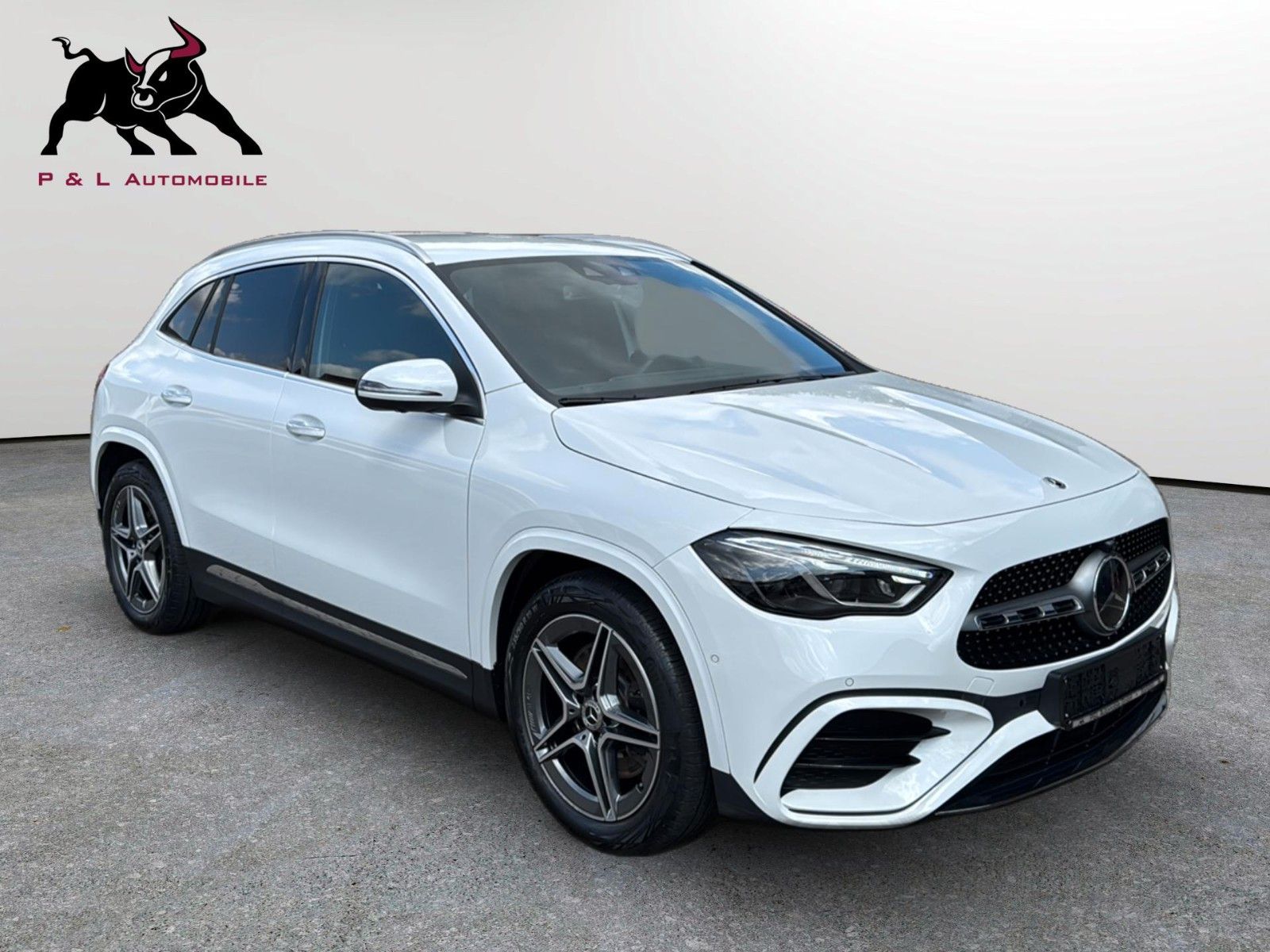 Mercedes-Benz GLA 250 4M AMG line MultibeamLED 360° Memory foto 2
