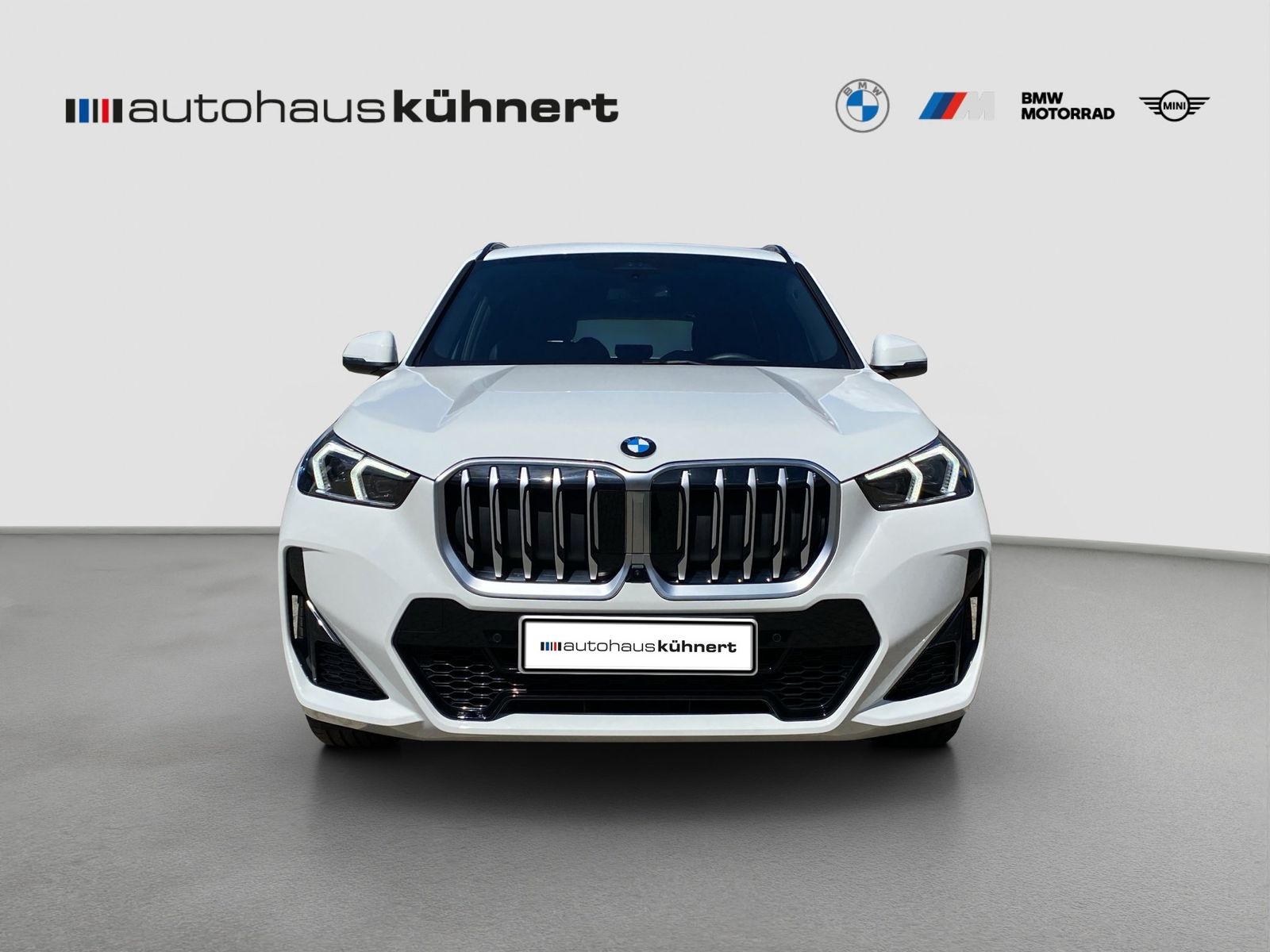 BMW X1 xDrive20d M-Sport ACC SpurAss 360° AHK foto 3