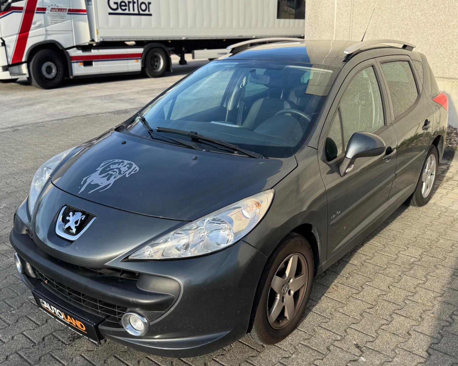 Peugeot 207 2009 — interior