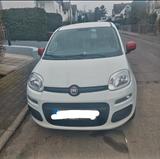 Fiat New Panda 1.2 8V MYSTYLE MYSTYLE - Fiat New Panda aus 2016
