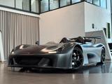 Dallara Stradale Barchetta Spoiler Exposed Carbon Nero - Dallara
