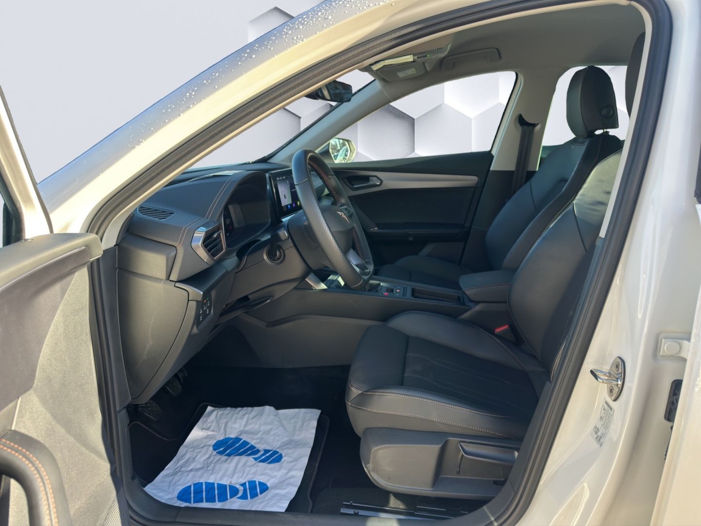 Formentor Basis 1.5TSI 110kW 6-Gang AHZV,LED, GJ