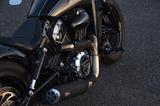 Indian Scout MOHAWK Edition by Hollisters - Offers