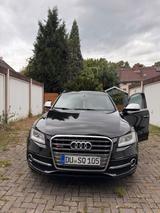 Audi SQ5 3.0 TDI tiptronic quattro - - Audi SQ5 in Oberhausen