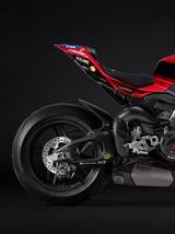 Ducati Panigale V4 Marquez 2025 World Champion Replica - DUCATI PANIGALE V4