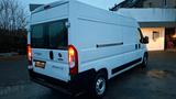 Fiat Ducato Maxi Grossr.-Kasten 35 140 L4H2 RS: 4035 - Fiat Ducato: L4