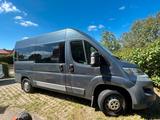 Fiat Ducato Multijet H2l2 116 Diesel 08/15... - Fiat Ducato: 11