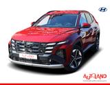 Hyundai Tucson 1.6 T-GDI Aut. Matrix ACC Navi Kamera