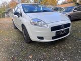 Fiat Punto 1.2 8V POP - Fiat Punto: 1.8