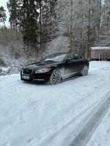 Jaguar XF V6 3l Diesel - gebrauchte Jaguar XF aus dem Jahr 2011