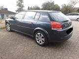Opel Signum Edition Plus 1.9 CDTI 88kW  - Opel Signum Gebrauchtwagen