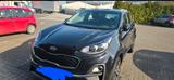 Kia Sportage 1.6 GDI 2WD Vision Vision - Kia Sportage von privat