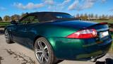 Jaguar XK 4.2L V8 Cabriolet - - Jaguar XK: Cabrio
