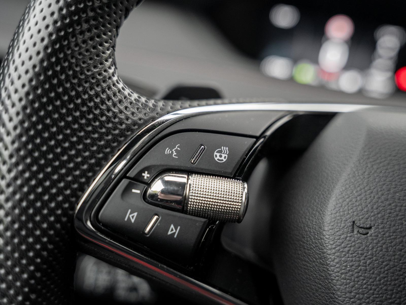 Skoda ENYAQ iV 80x DCC AHK Leder Navi W-Pumpe el.Heck