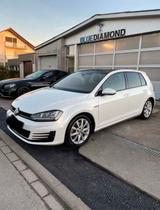 Volkswagen VW Golf GTD zu verkaufen FEST preis - mit Diesel-Antrieb: Preis