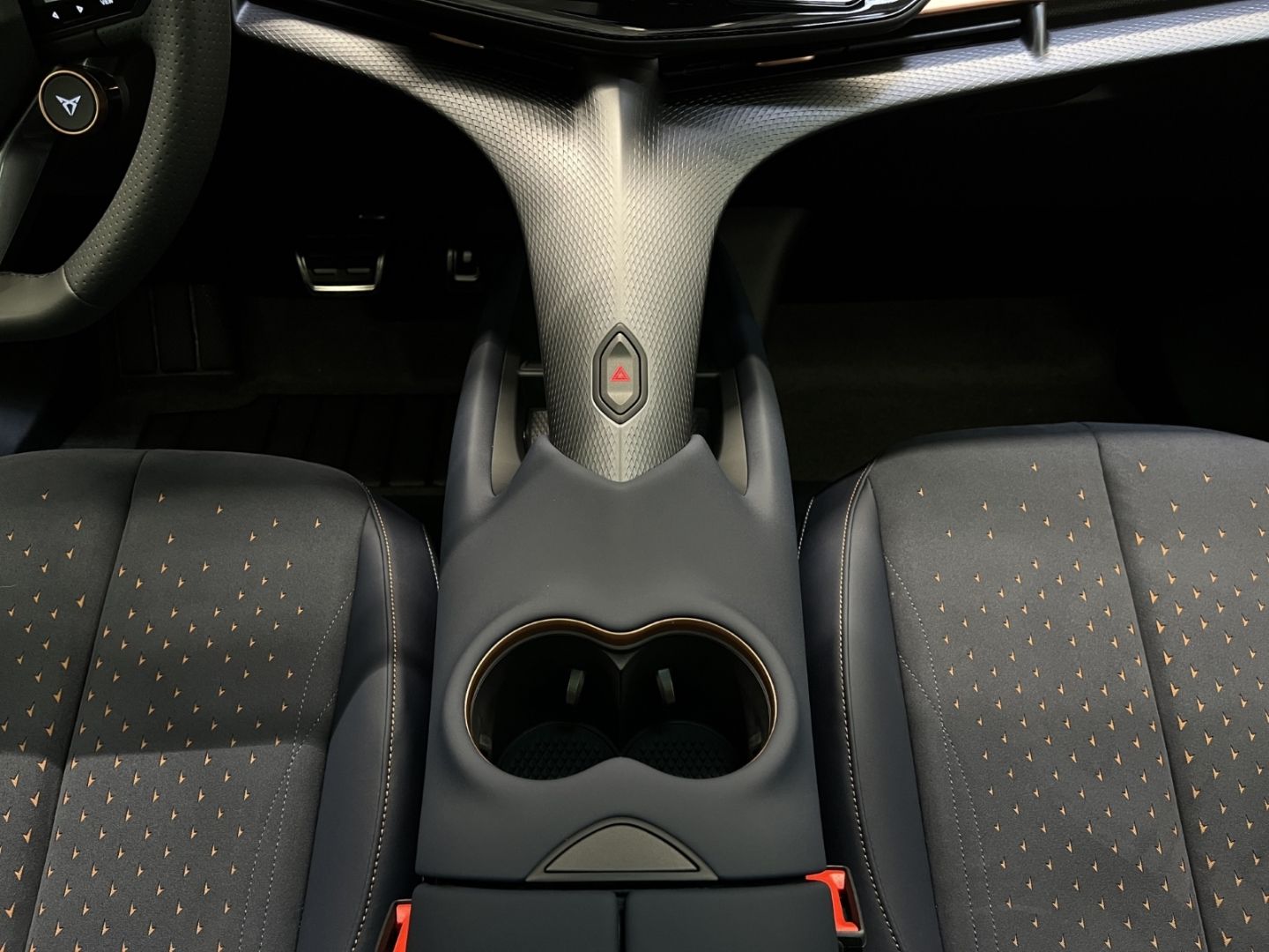 Cupra Tavascan - Bild 13
