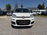 Fiat Panda Easy * Klima* - Fiat Gebrauchtwagen von 2020