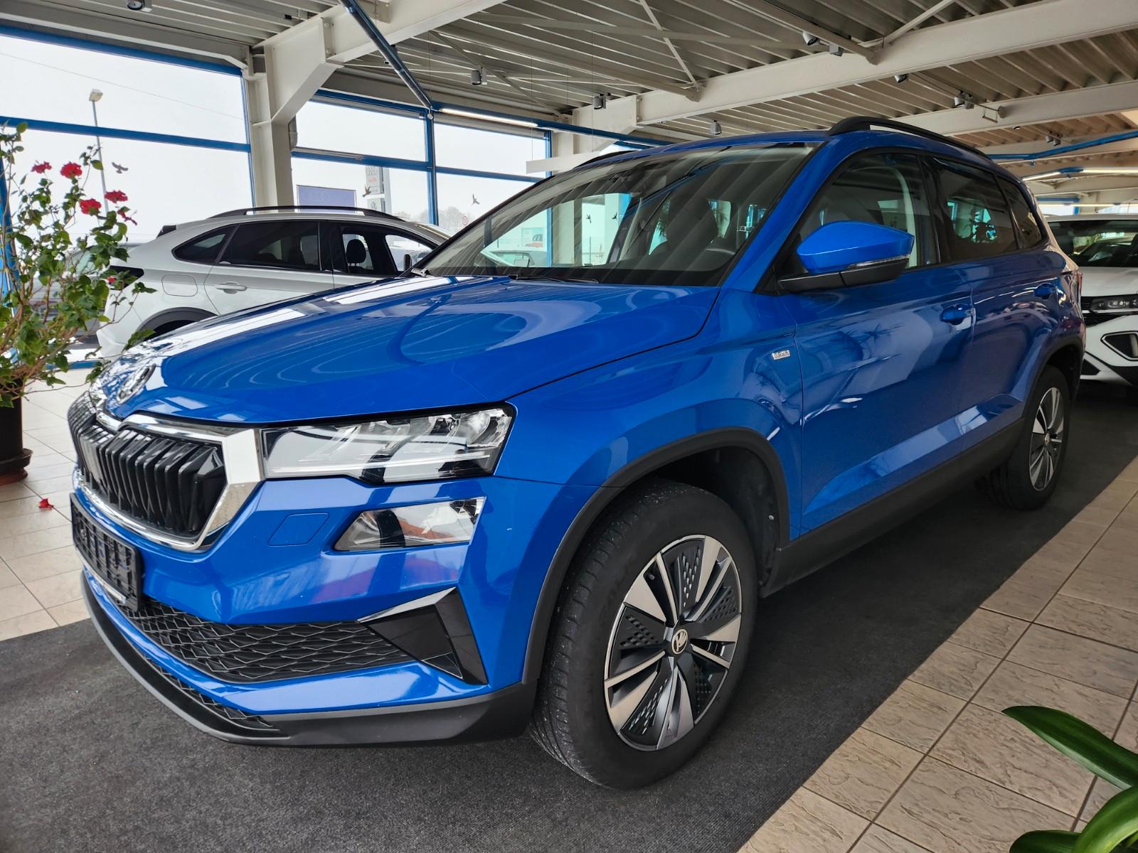 Skoda Karoq Tour LED/APP/Navi/LM17/AHK