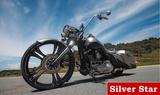 Harley-Davidson Eye Catcher - Road King Bagger - HARLEY-DAVIDSON BAGGER