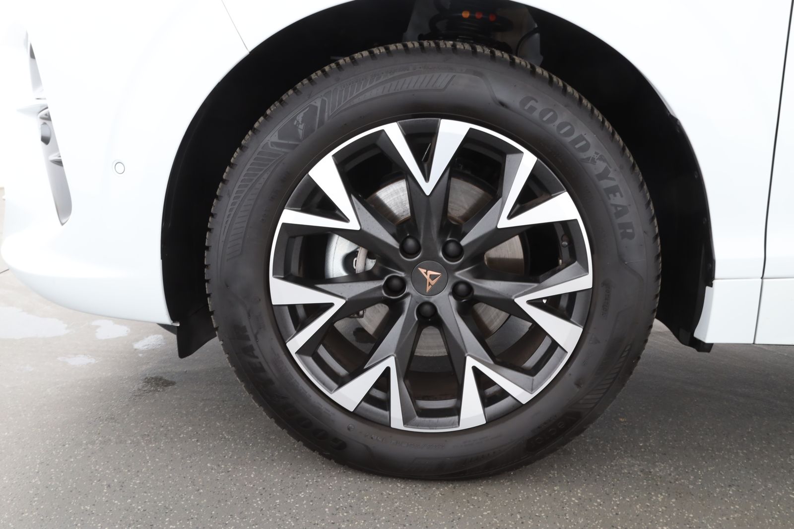 Cupra Terramar - Bild 8