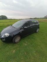 Fiat Gebrauchter Fiat Punto zu verkaufen - Fiat Punto in Leverkusen