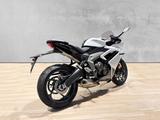 Triumph Daytona 660 - TRIUMPH SPORTLER DAYTONA