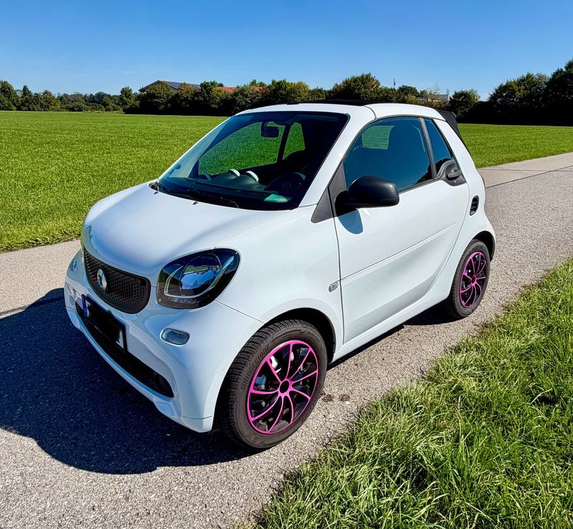 Image of Smart Other