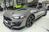 Ford Mustang 2,3 PREMIUM GT 500 SHELBY ACC SPUR LED - Ford Mustang: Shelby Gt500