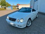 Mercedes-Benz CLK 200 Kompressor Cabrio Avantgarde, sehr... - gebrauchte Mercedes-Benz CLK 200 aus dem Jahr 2003