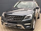 Mercedes-Benz ML 350 CDI BlueTec AMG Xenon Navi Kam Leder Pano - Mercedes-Benz ML 350: AMG