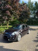 MINI Cooper S Cooper S Soundanlage Pano Head up - MINI MINI: Braun