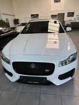 Jaguar XF Sportbrake S - Jaguar XF: Weiß
