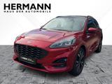 Ford Kuga ST-Line Sportpaket - Ford Vorführfahrzeuge