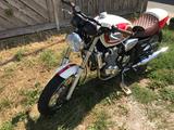 Triumph Thunderbird 900 Cafe Racer - TRIUMPH CAFE RACER