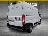 Fiat Ducato Serie 9 35 Multijet 140 L2H2 Kastenwagen - Fiat mit Diesel-Antrieb: Limousine
