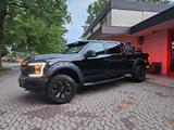 Ford FORD F-150 5.0 V8 | US-Pickup mit Charakter - Ford F 150: Geländewagen
