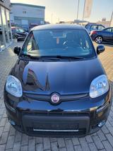 Fiat Panda Sport,Winterp.PDC,Sound,ALU8 fach 16",neuw - Fiat: Sport