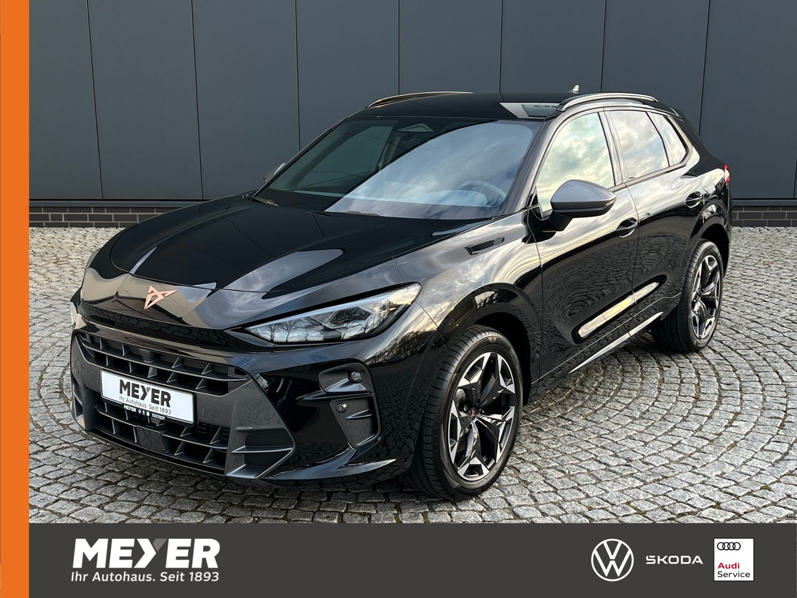 Fahrzeugabbildung CUPRA Terramar VZ 2.0 TSI DSG 4Drive *Garantie, AHK, D