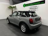 MINI Cooper Chili Edition *LEDER*NAVI*PDC*TEMP*SHZ* - MINI MINI: Winterreifen