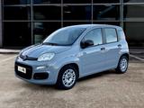 Fiat Panda 1.0 hybrid Easy Connect s&s 70cv ADAT - Fiat Panda EASY mit Hybrid-Antrieb (Benzin/Elektro)