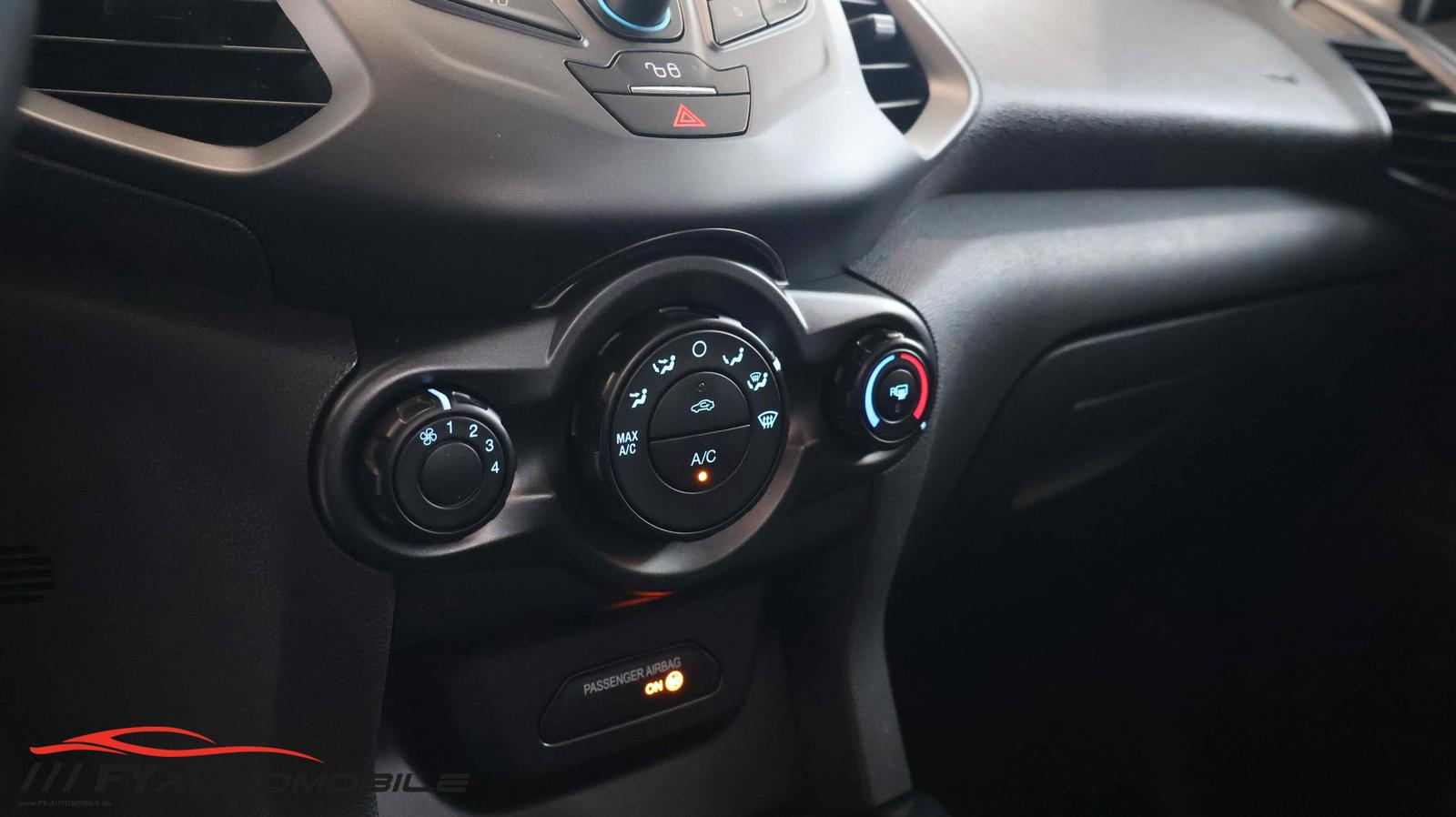 Ford EcoSport 2015 — photo 15